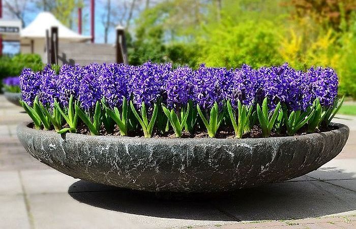 фото 2