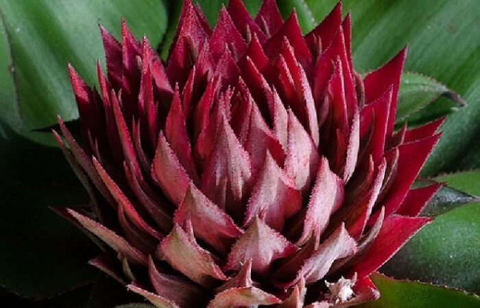 Фото 3